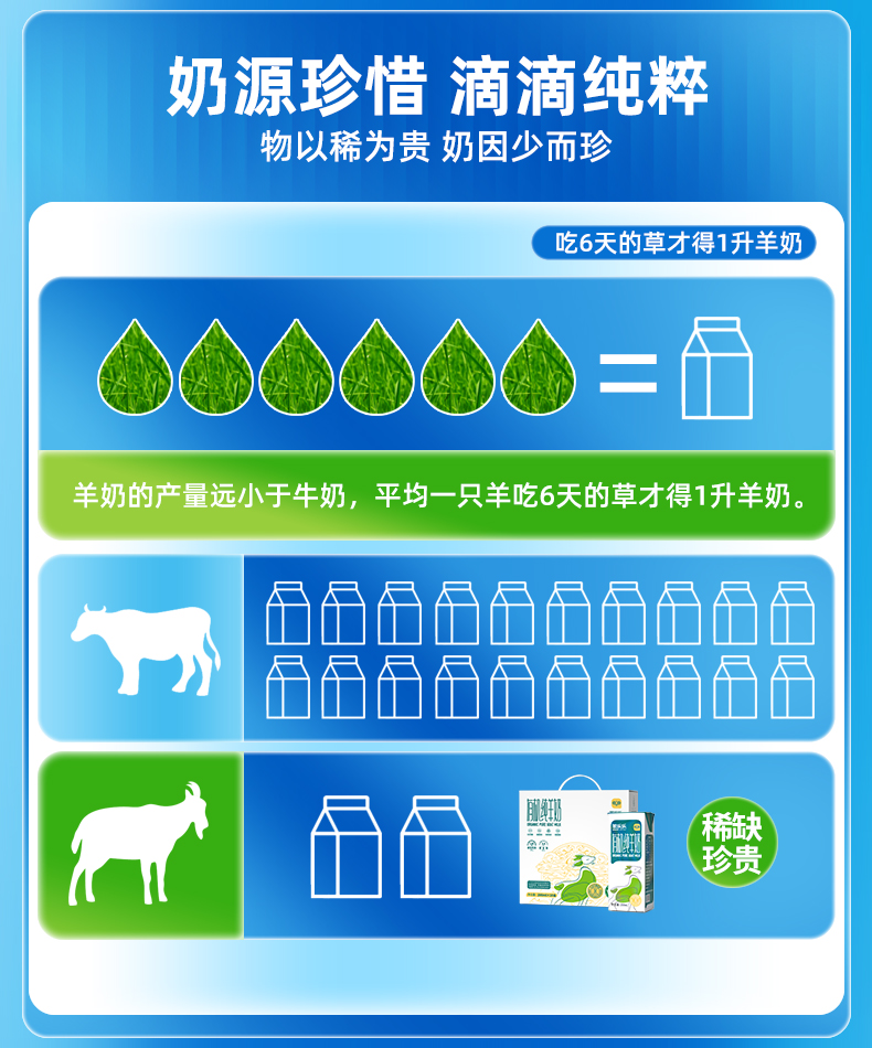 详情12.jpg